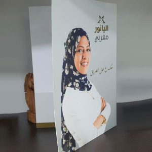 فولدر اليانور